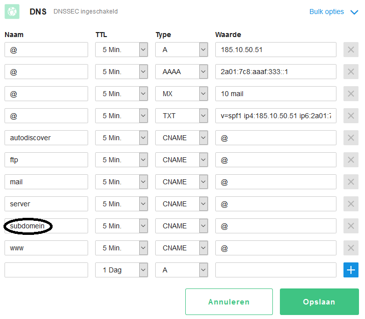 DNS subdomein voorbeeld