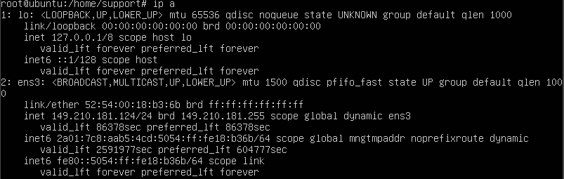ubuntu 18 ip a