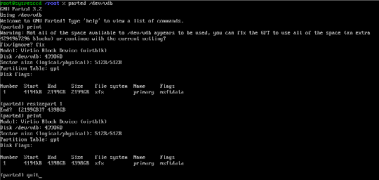 Overzicht parted in de Linux rescue modus