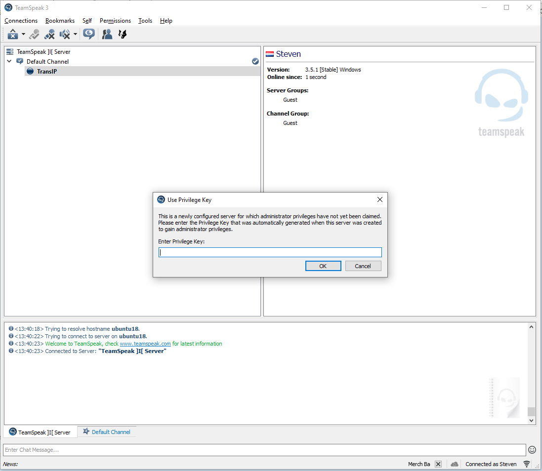 teamspeak first connection