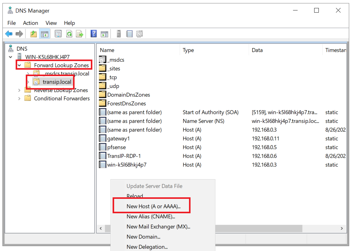 dns manager local domain new host