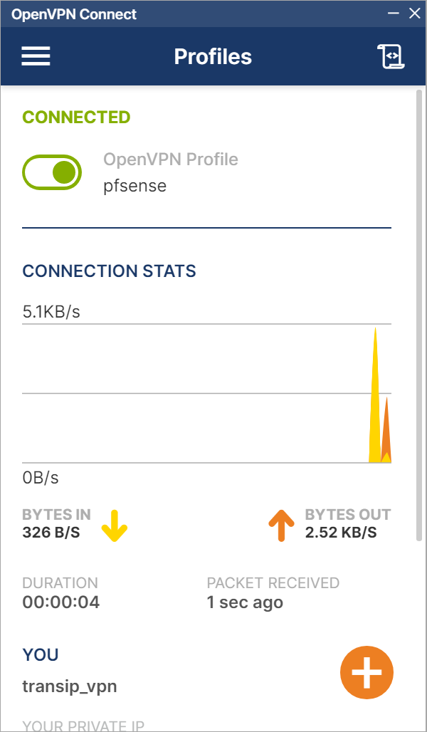 openvpn connect connected