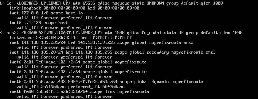 ipa centos8 extra ipv4 and ipv6 address