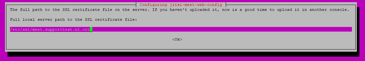 jitsi webconfig crt