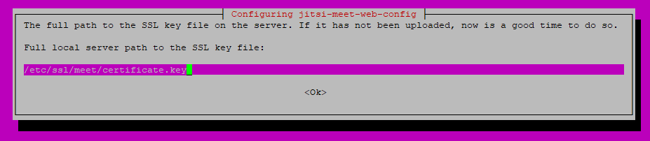 jitsi web config ssl