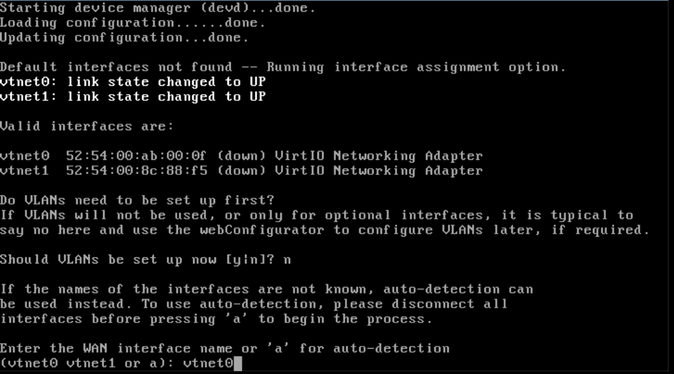 pfsense installation wan interface