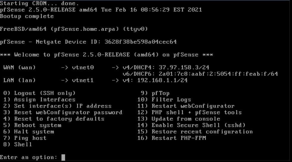 pfsense terminal example