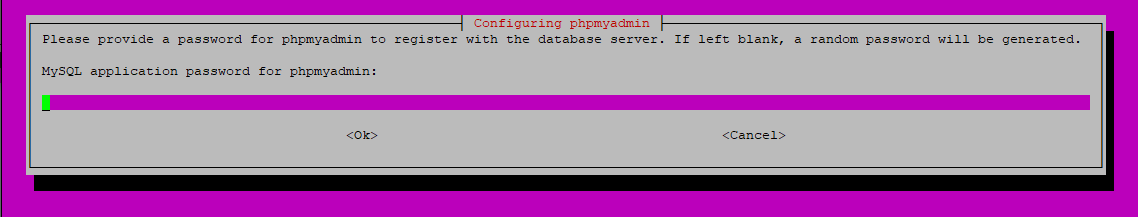 configuring phpmyadmin password